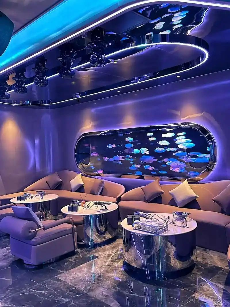 天津商务ktv价格查询-津南区ktv预定